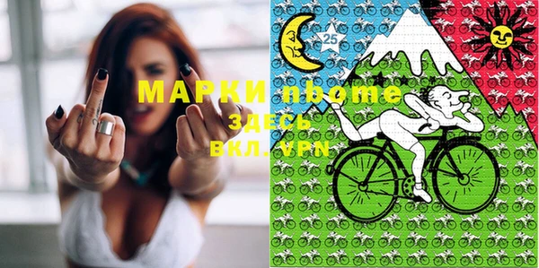 индика Медногорск