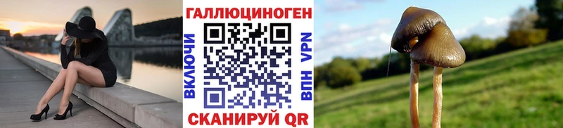 Псилоцибиновые грибы мицелий  Купить где  Раменское 